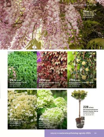 thumbnail - Kwiaty i rośliny