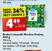 Brokuł różyczki Mroźna Kraina, 450 g