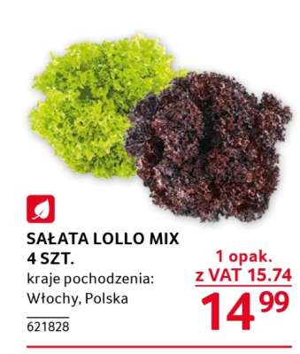 SAŁATA LOLLO MIX 4 SZT.