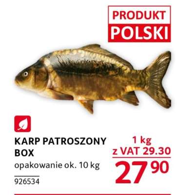 KARP PATROSZONY BOX