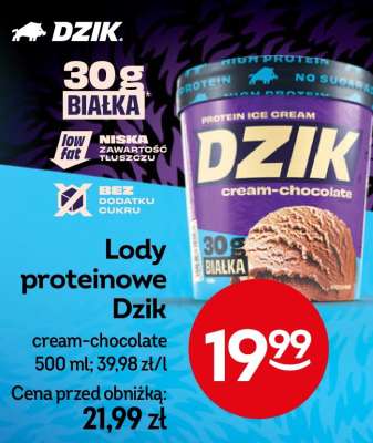 Lody proteinowe Dzik