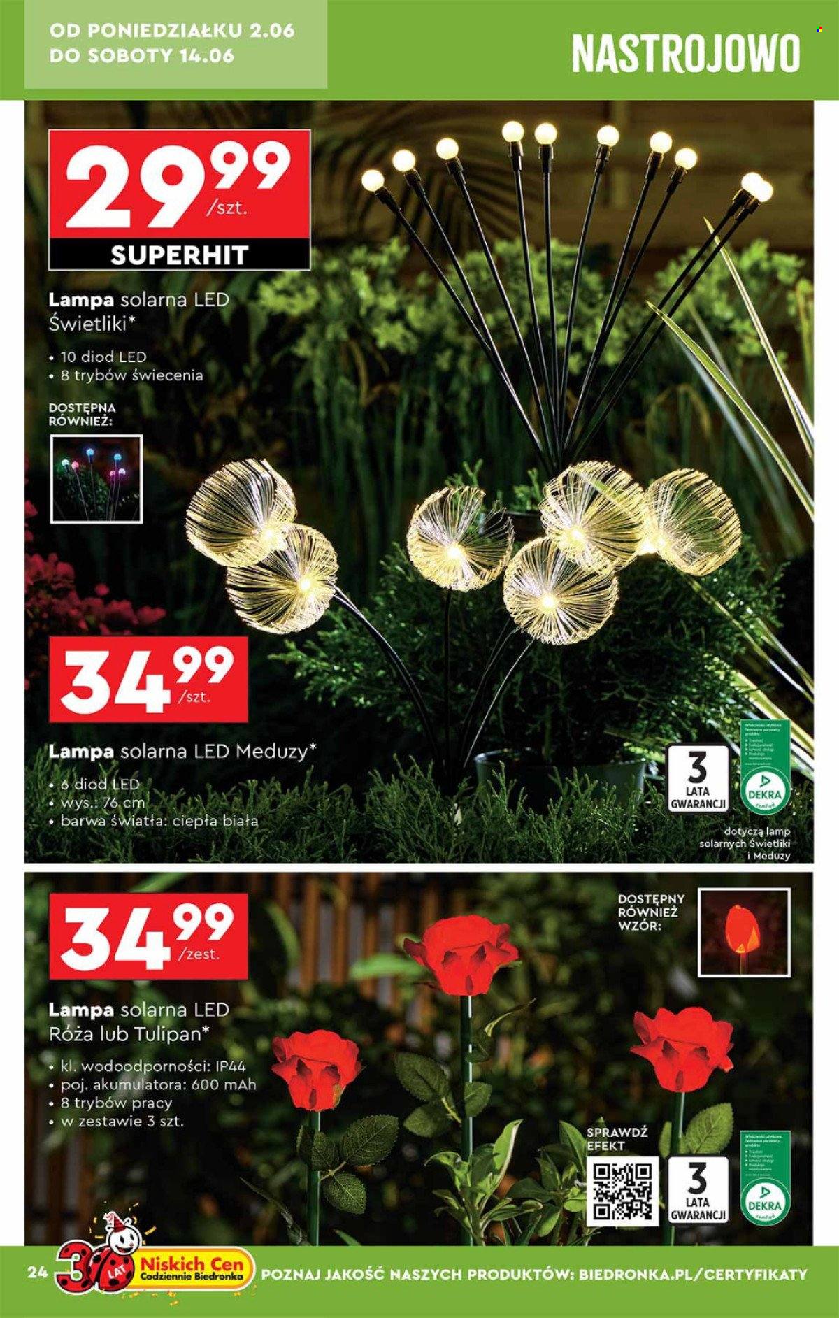 Gazetka Biedronka - 31.05.2025 - 29.06.2025. Strona 24