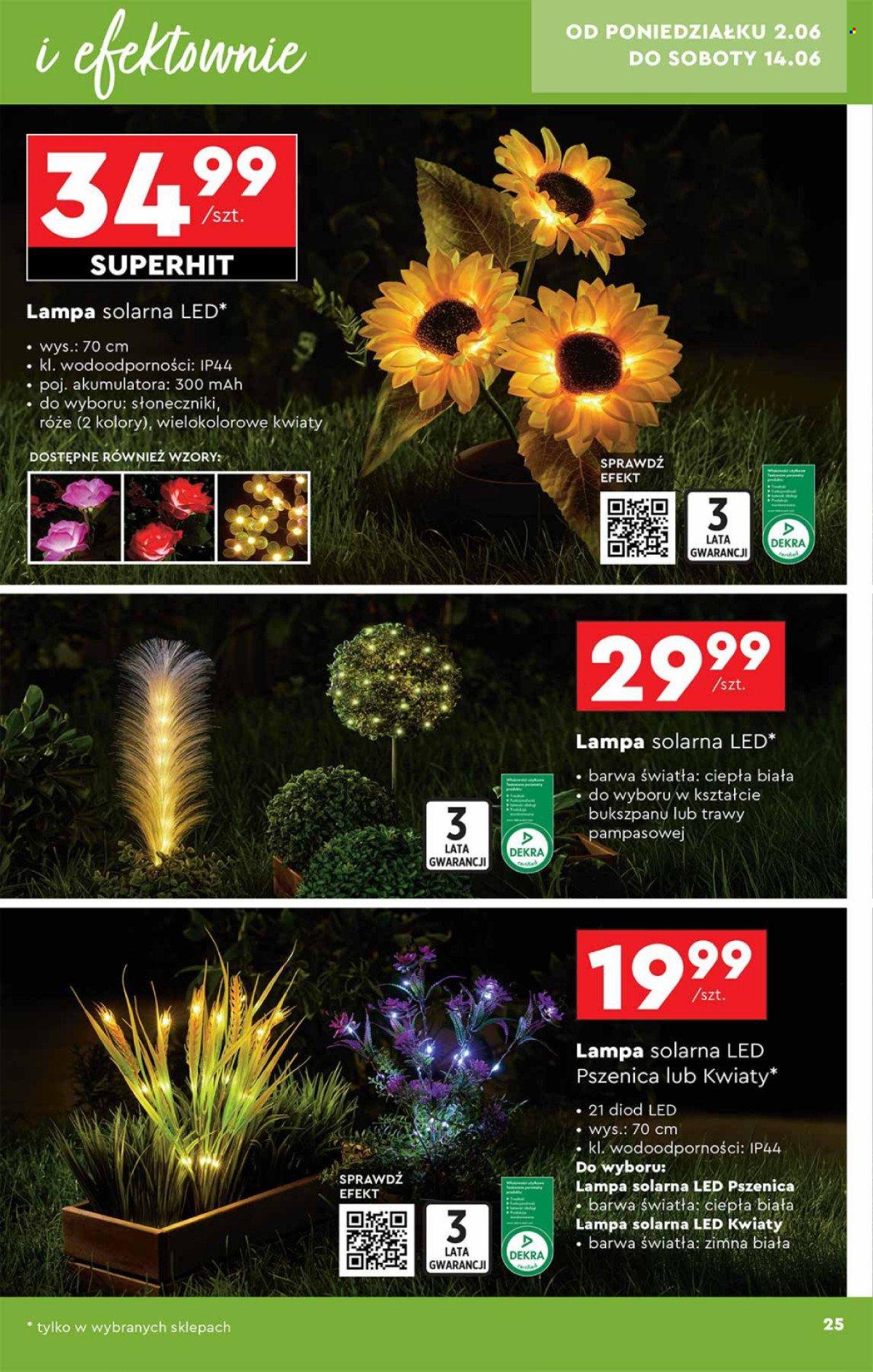 Gazetka Biedronka - 31.05.2025 - 29.06.2025. Strona 25