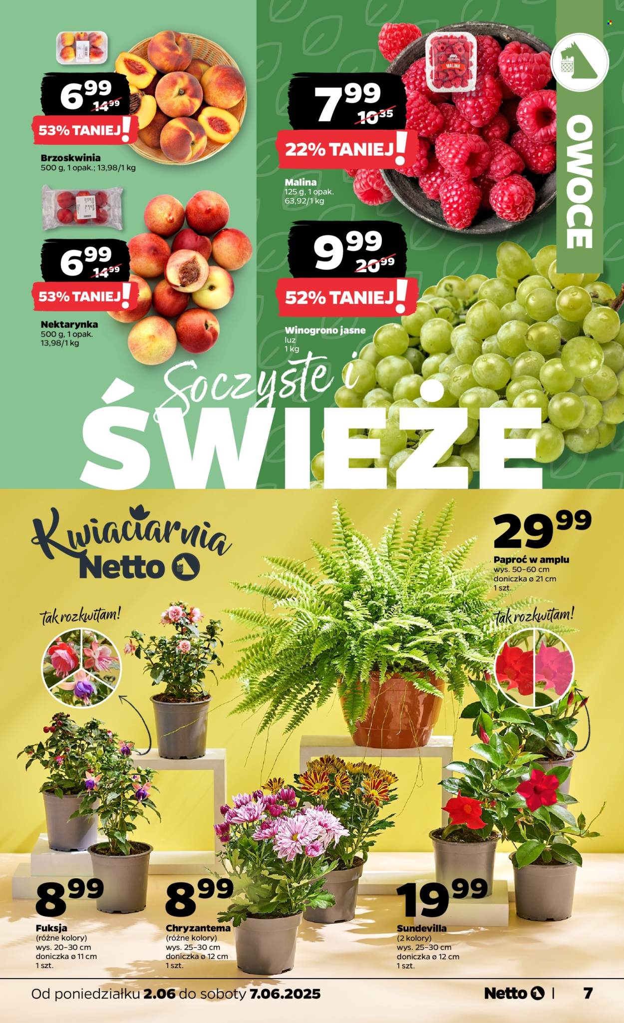 Gazetka Netto - 2.06.2025 - 7.06.2025. Strona 7