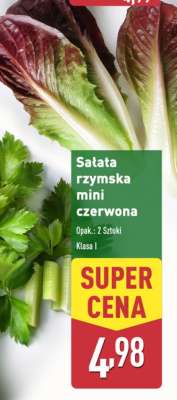 Sałata rzymska mini czerwona
