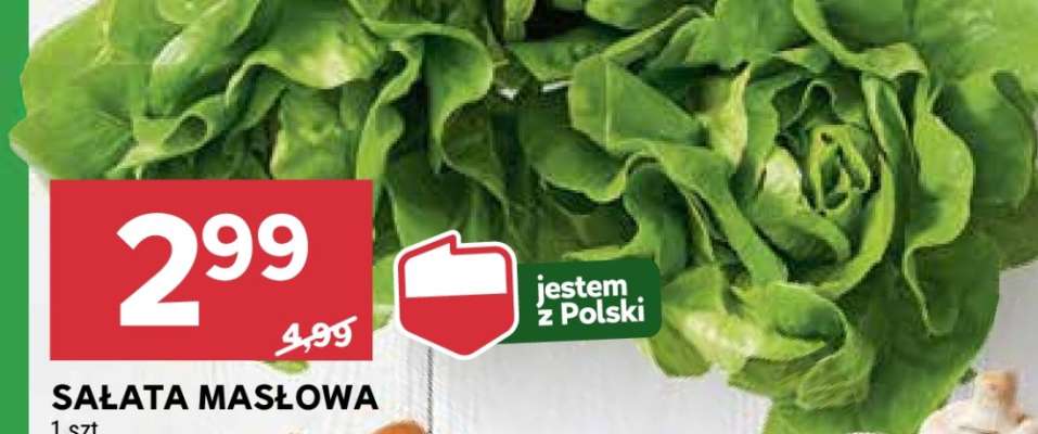 Sałata masłowa