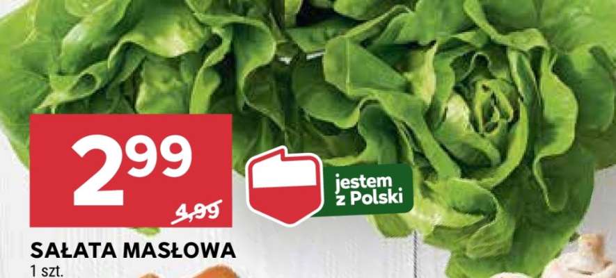 Sałata masłowa