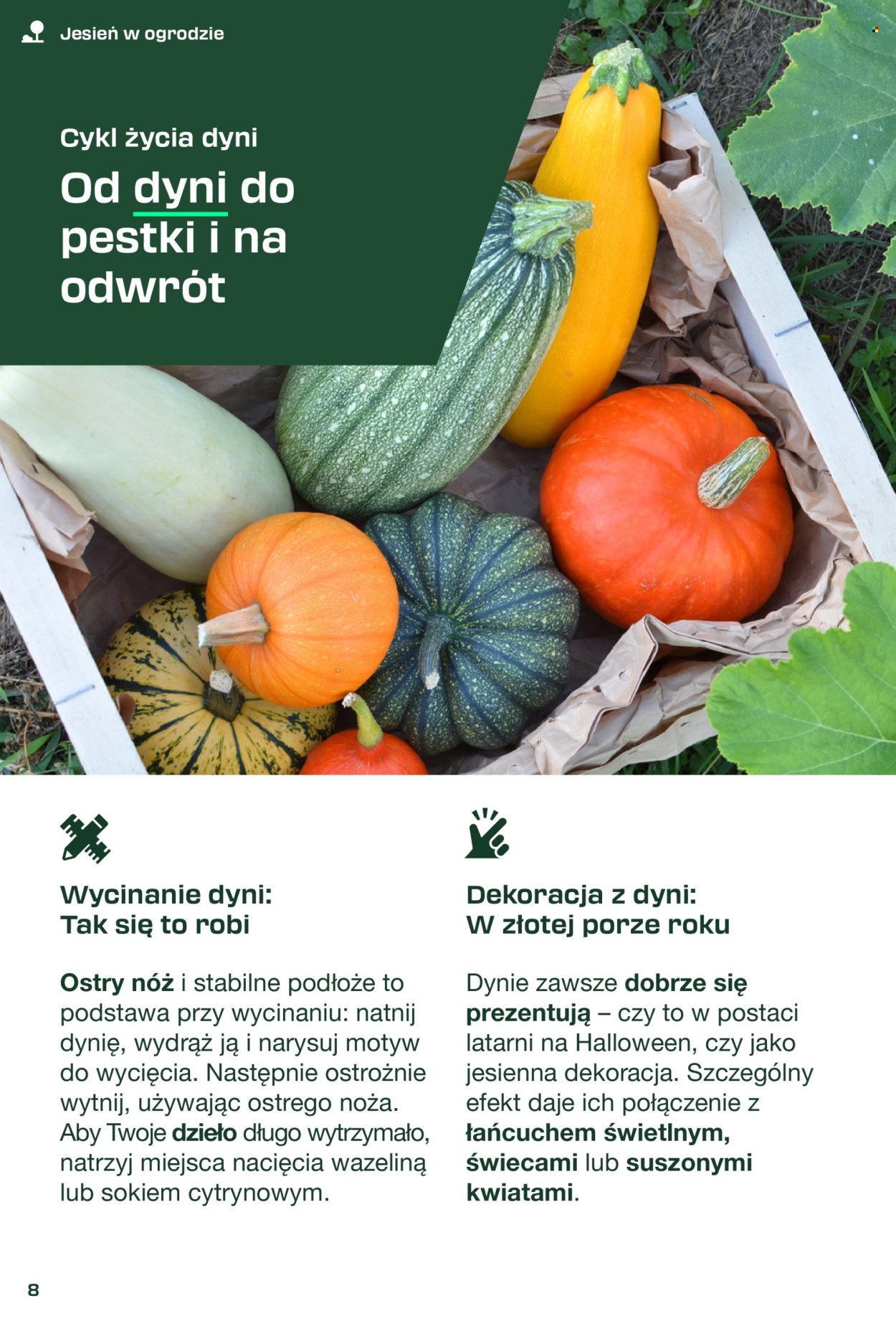 Leták Kaufland. Strana 8
