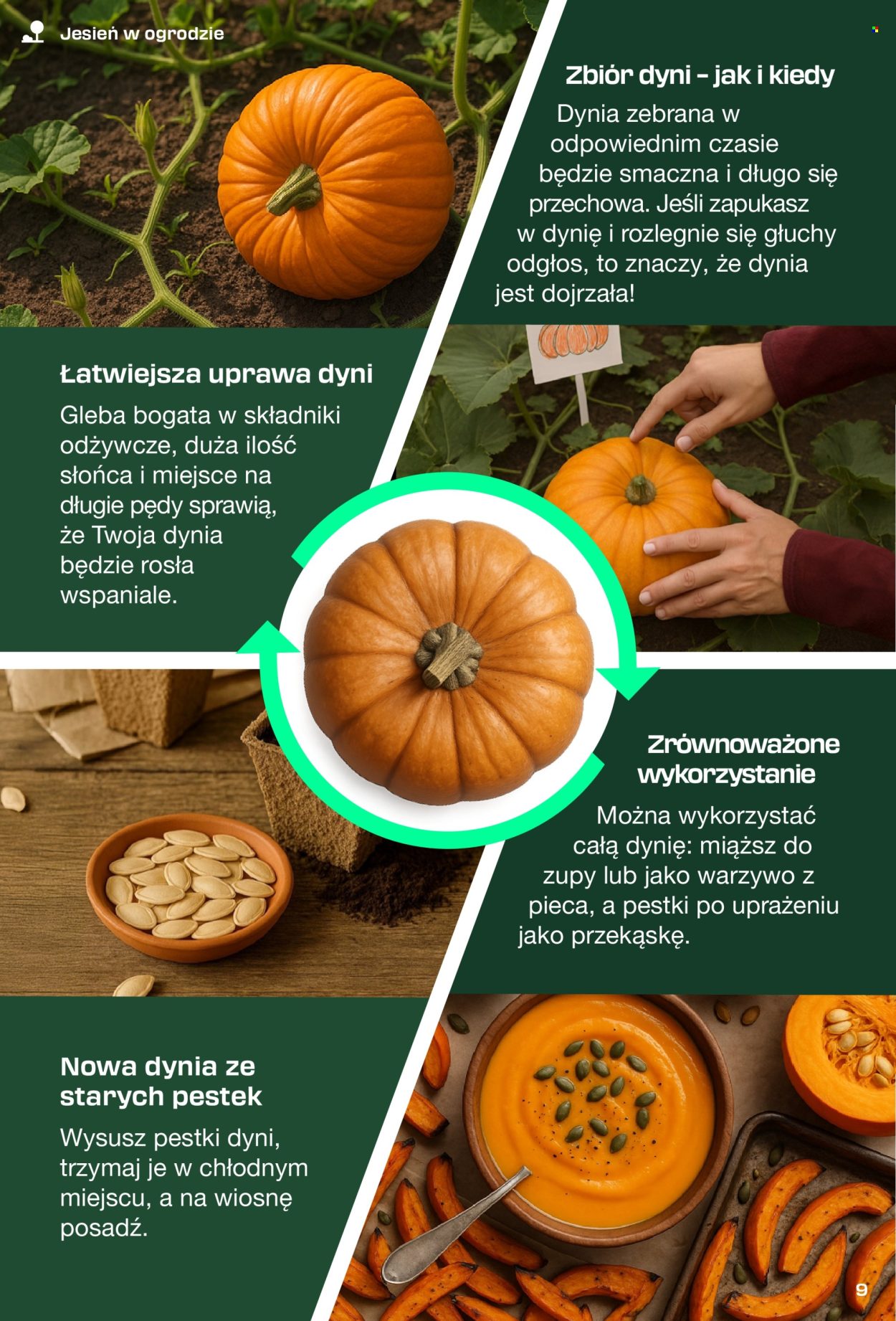 Gazetka Kaufland. Strona 9