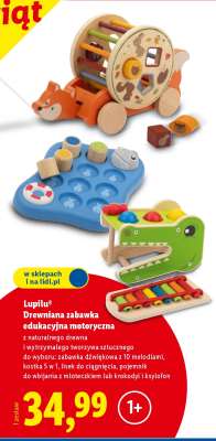 Lupilu® Drewniana zabawka edukacyjna motoryczna