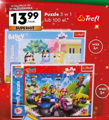 Puzzle 3 w 1 lub 100 el.