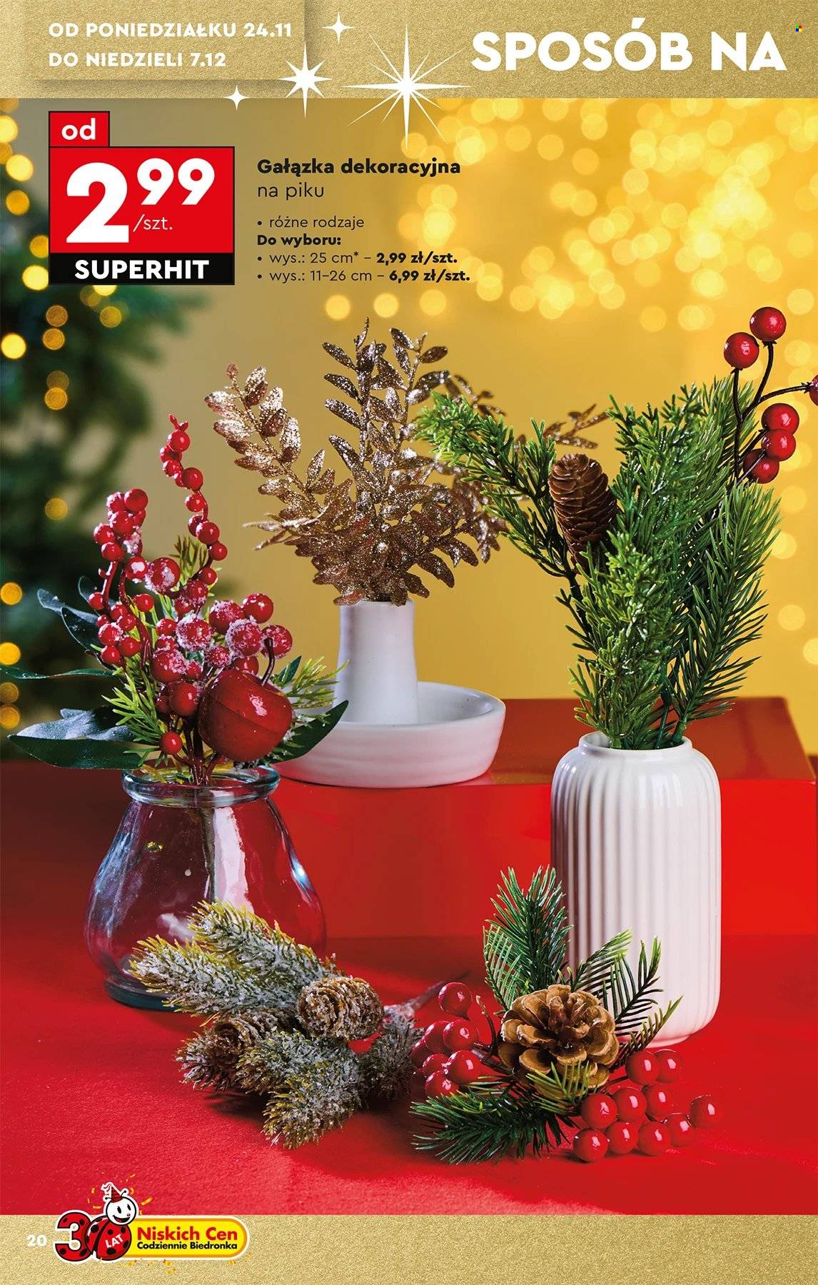 Gazetka Biedronka - 22.11.2025 - 10.12.2025. Strona 20