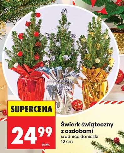 Świerk świąteczny z ozdobami