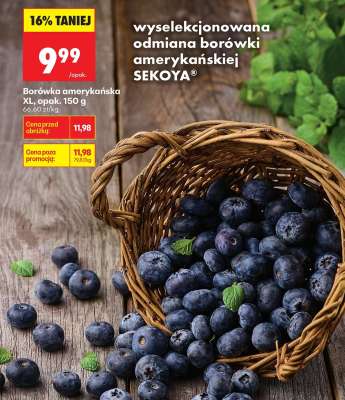 Borówka amerykańska XL, opak. 150 g