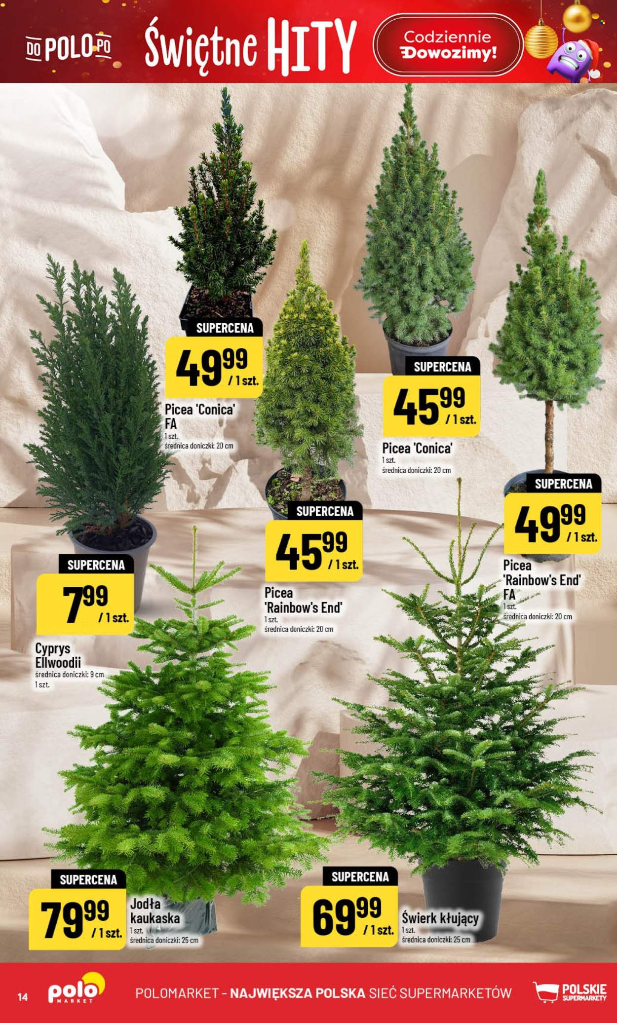 Gazetka Polomarket - 3.12.2025 - 9.12.2025. Strona 14