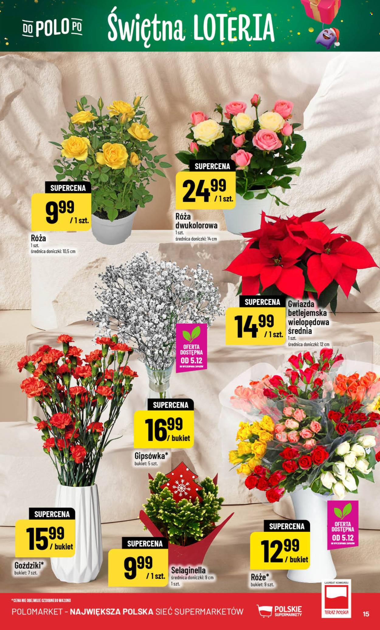 Gazetka Polomarket - 3.12.2025 - 9.12.2025. Strona 15
