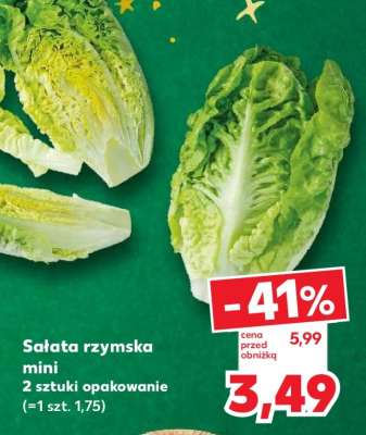 Sałata rzymska mini