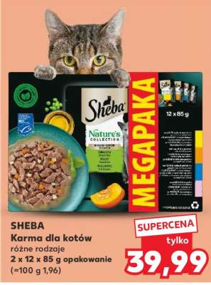 SHEBA Karma dla kotów