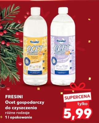 FRESINI Ocet gospodarczy do czyszczenia