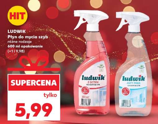 LUDWIK Płyn do mycia szyb różne rodzaje