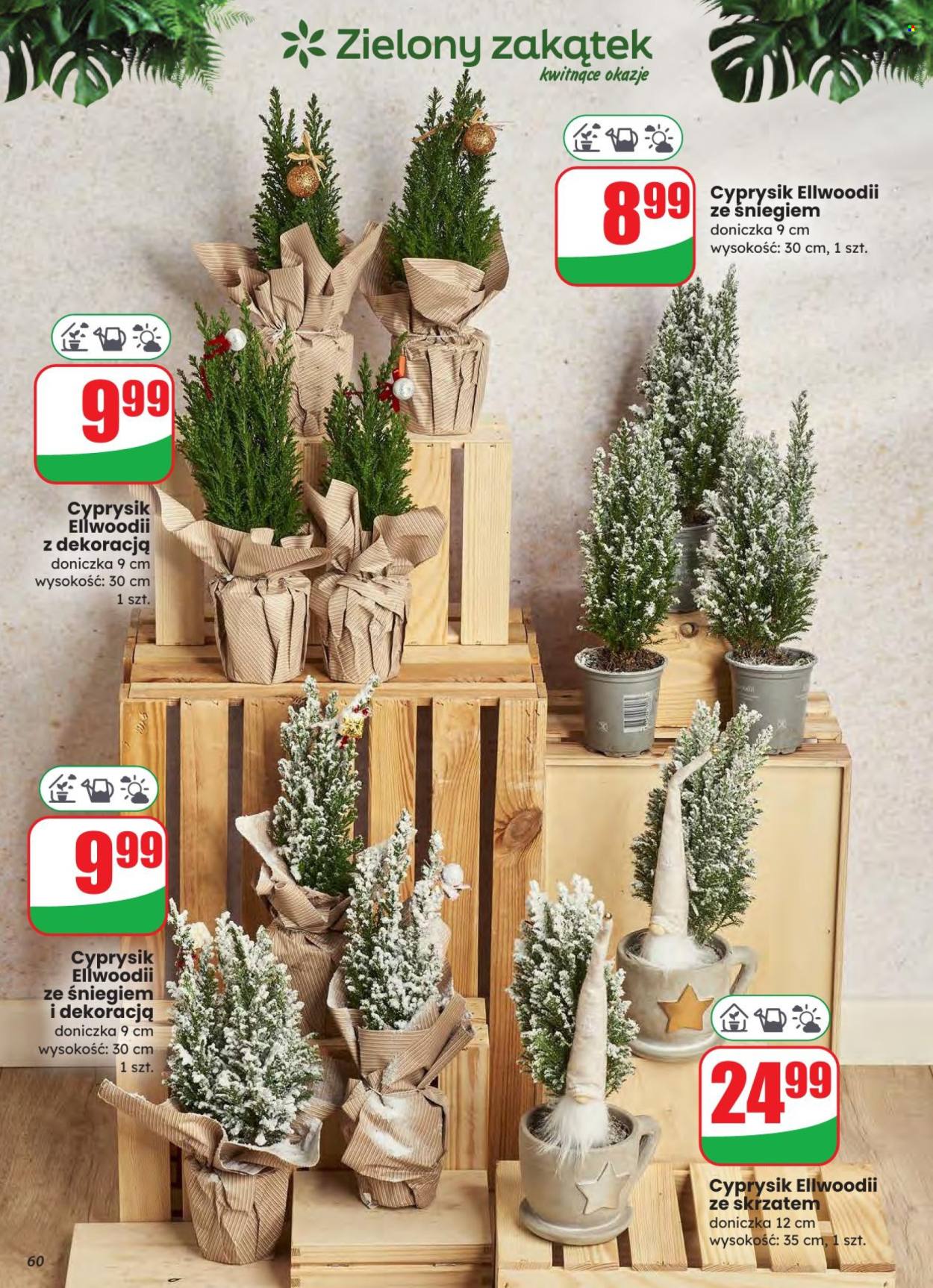 Gazetka Dino - 3.12.2025 - 9.12.2025. Strona 60