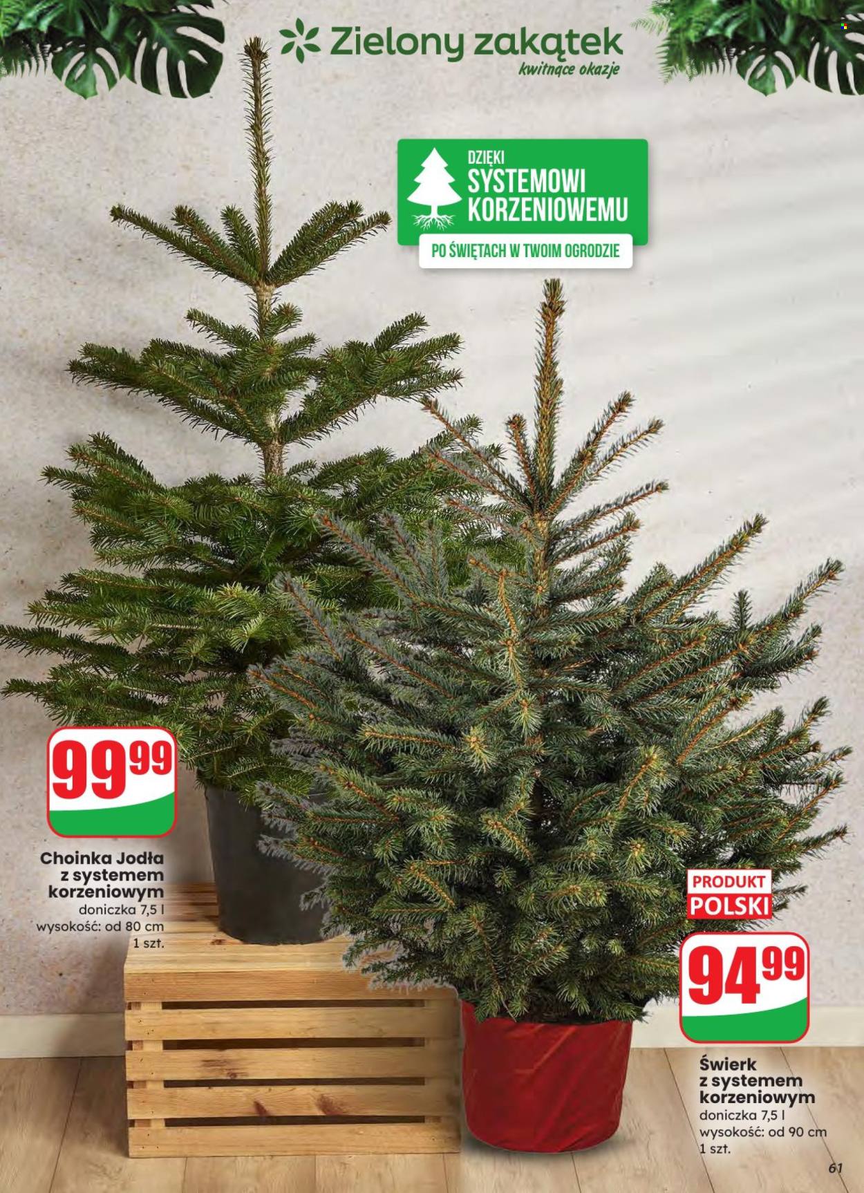 Gazetka Dino - 3.12.2025 - 9.12.2025. Strona 61