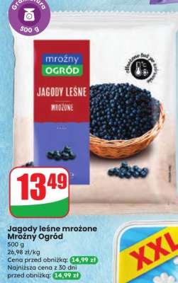 Jagody leśne mrożone Mroźny Ogród