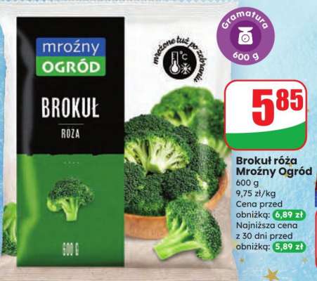 Brokuł róża Mroźny Ogród