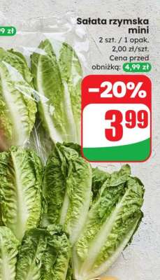 Sałata rzymska mini