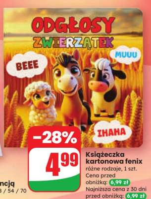 Książeczka kartonowa fenix