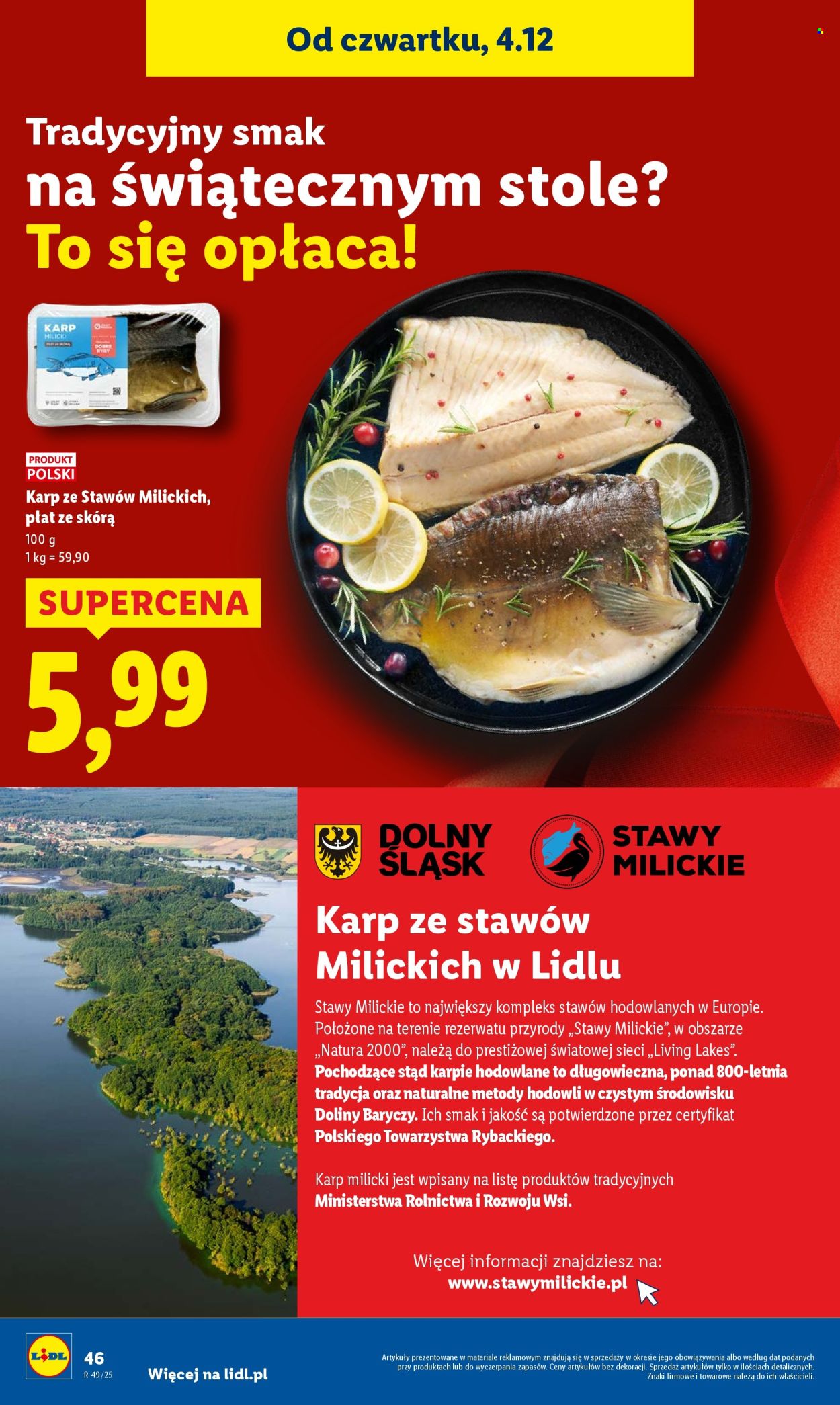 Gazetka Lidl - 4.12.2025 - 7.12.2025. Strona 48