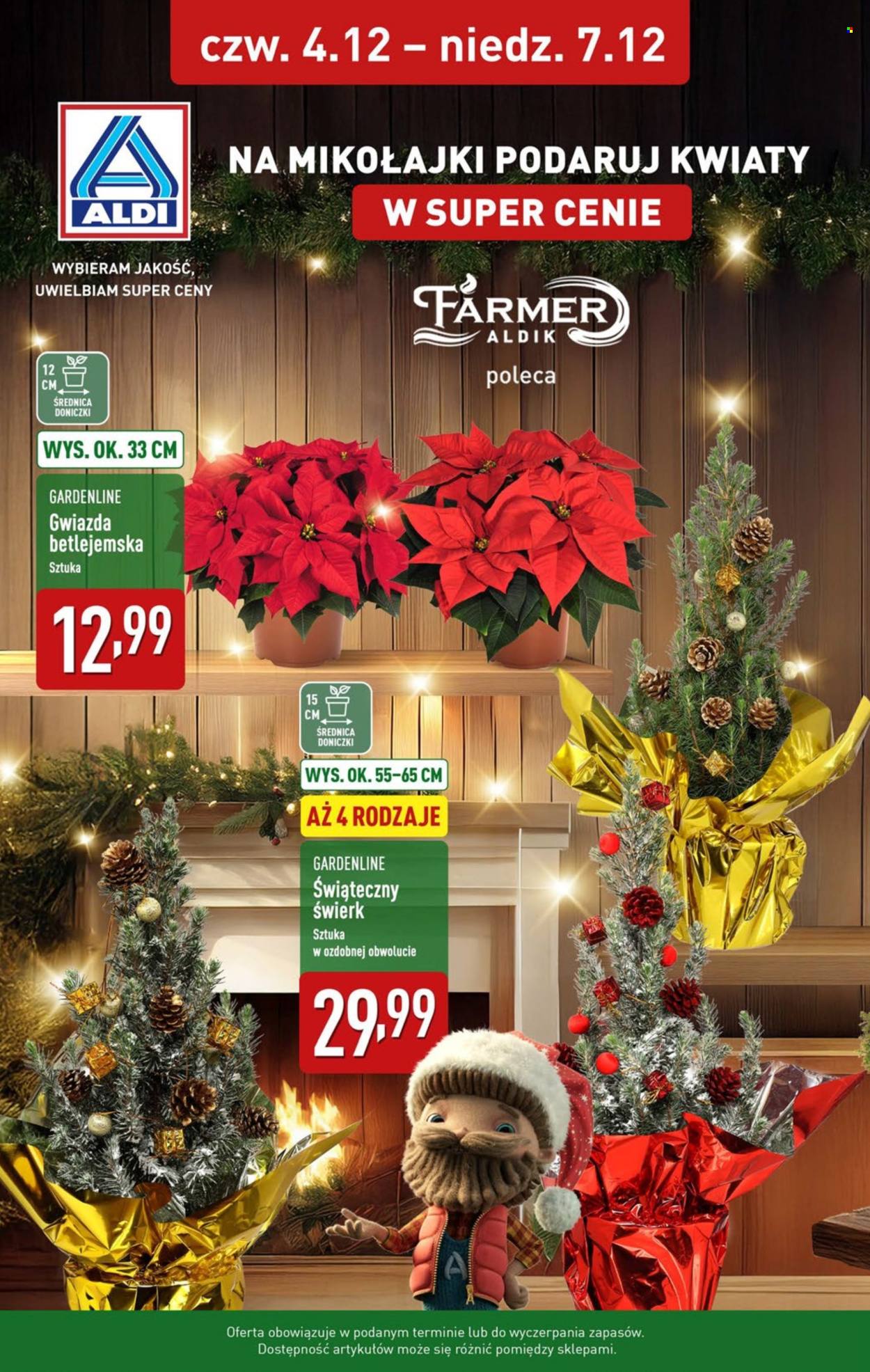 Gazetka ALDI - 4.12.2025 - 7.12.2025. Strona 13