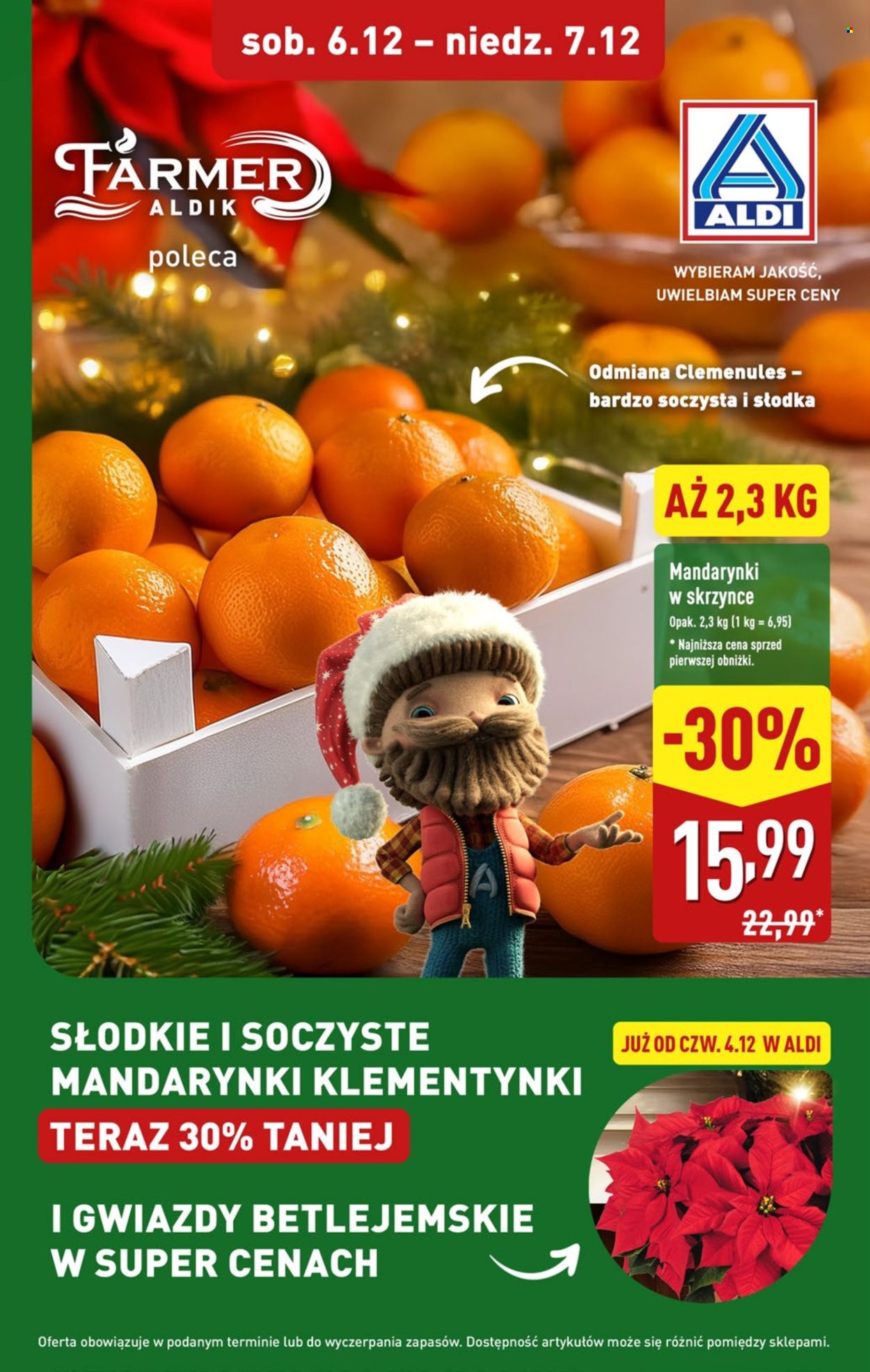 Gazetka ALDI - 4.12.2025 - 7.12.2025. Strona 19
