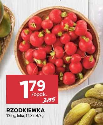 Rzodkiewka