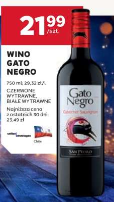 Wino Gato Negro