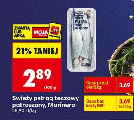 Świeży pstrąg tęczowy patroszony Marinero