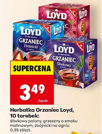 Herbatka Grzaniec Loyd, 10 torebek