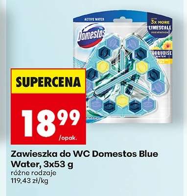 Zawieszka do WC Domestos Blue Water, 3x53 g