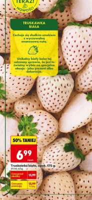 Truskawka biała, opak. 175 g