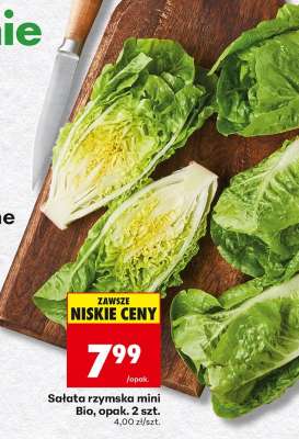 Sałata rzymska mini Bio, opak. 2 szt.
