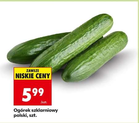 Ogórek szklarniowy polski , szt