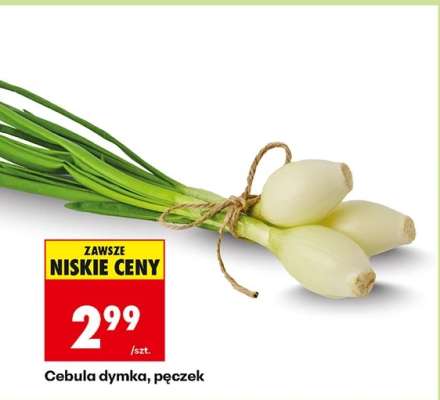 Cebula dymka pęczek
