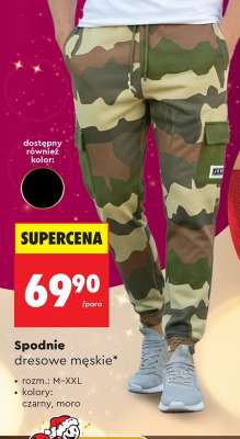 Spodnie dresowe męskie
