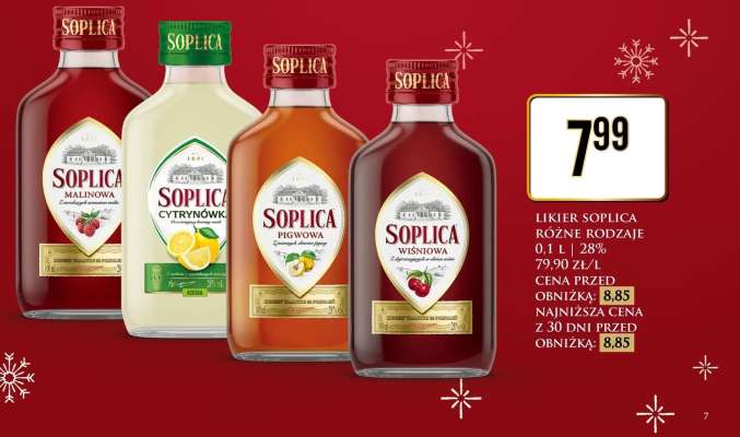 LIKIER SOPLICA RÓŻNE RODZAJE 0,1 l 28%