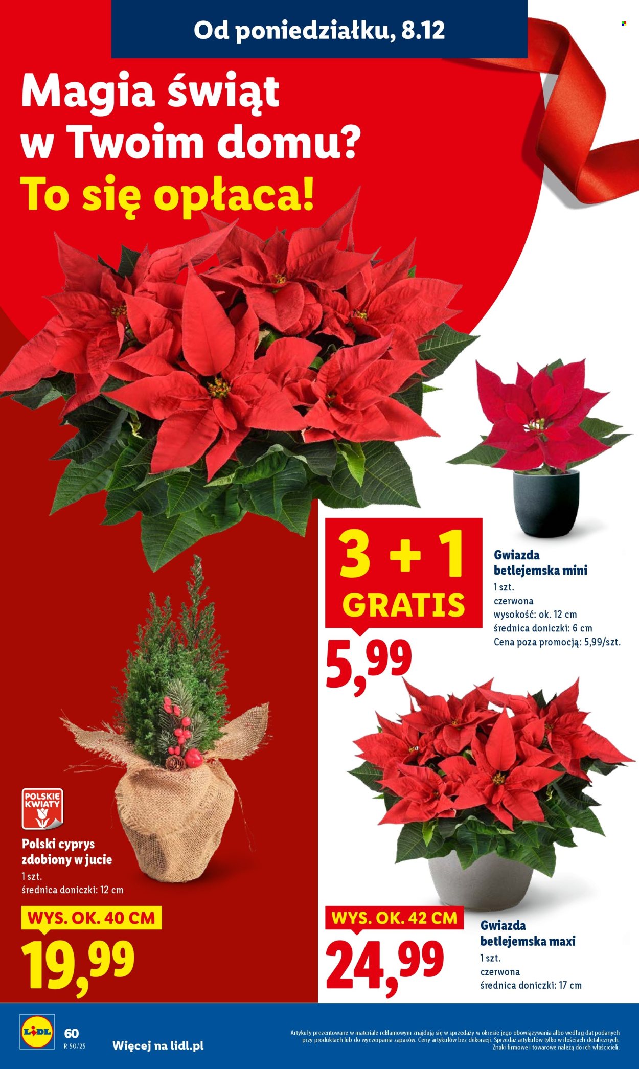 Gazetka Lidl - 8.12.2025 - 10.12.2025. Strona 68