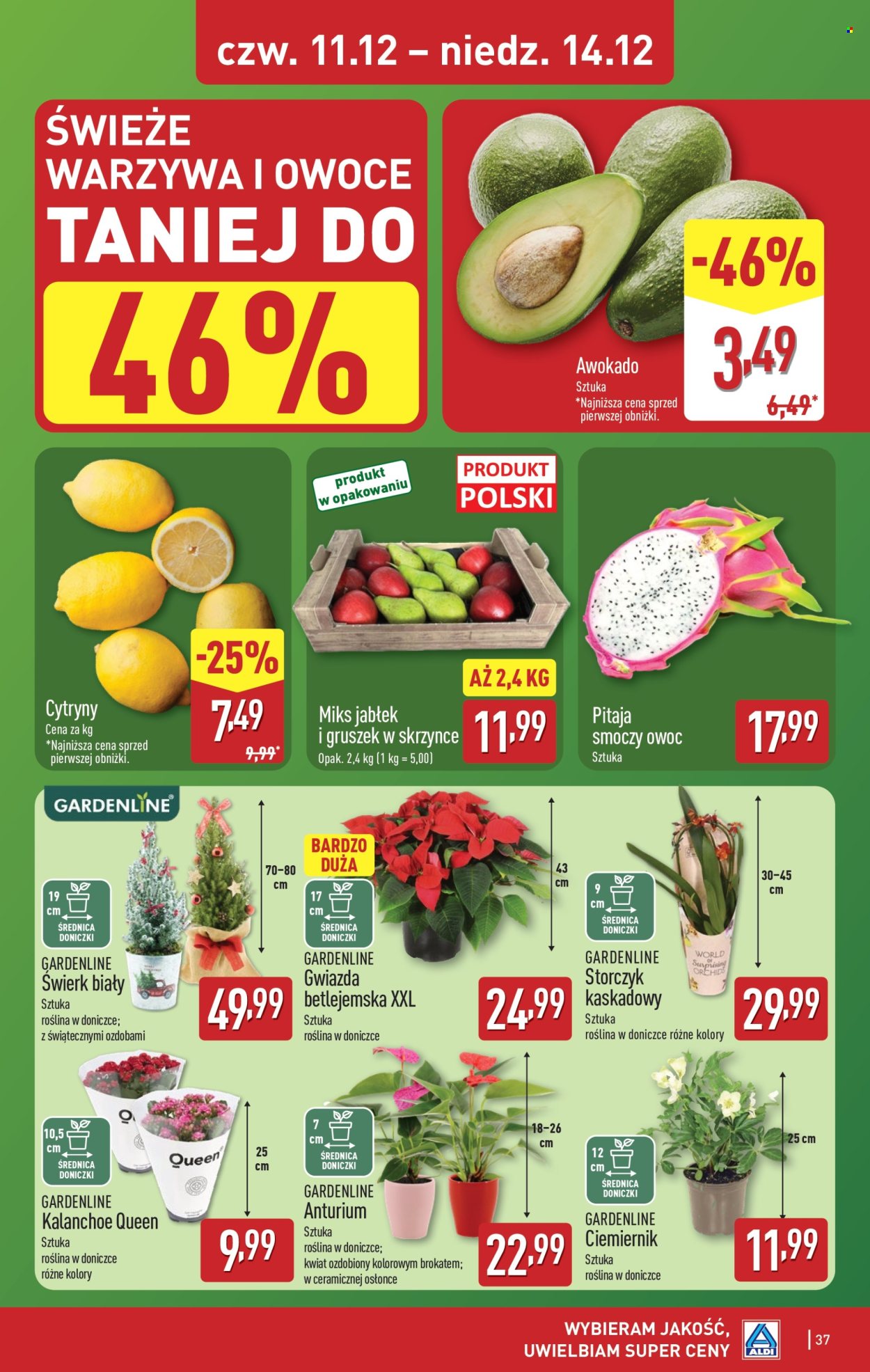 Gazetka ALDI - 8.12.2025 - 14.12.2025. Strona 37