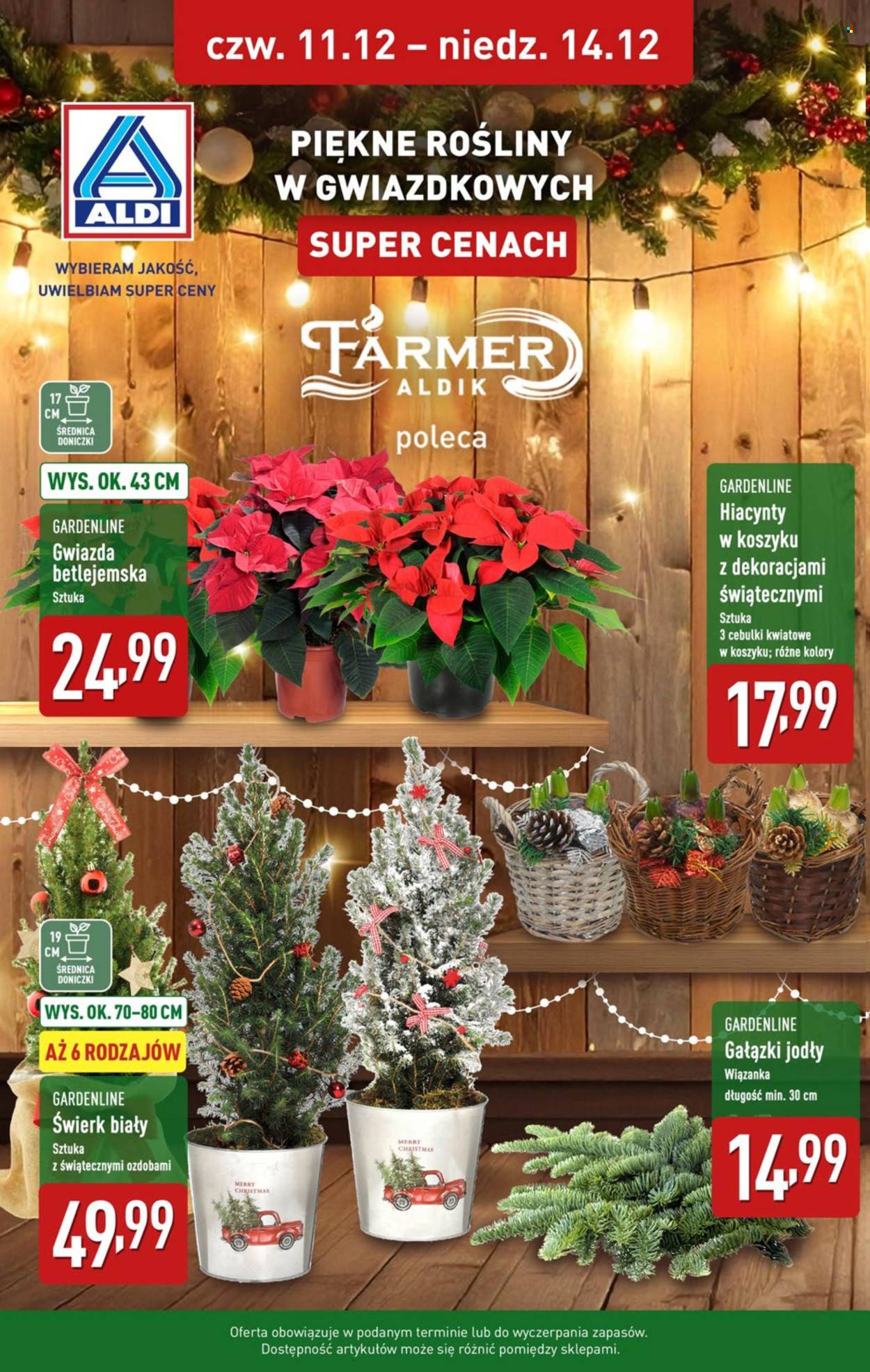 Gazetka ALDI - 8.12.2025 - 14.12.2025. Strona 38