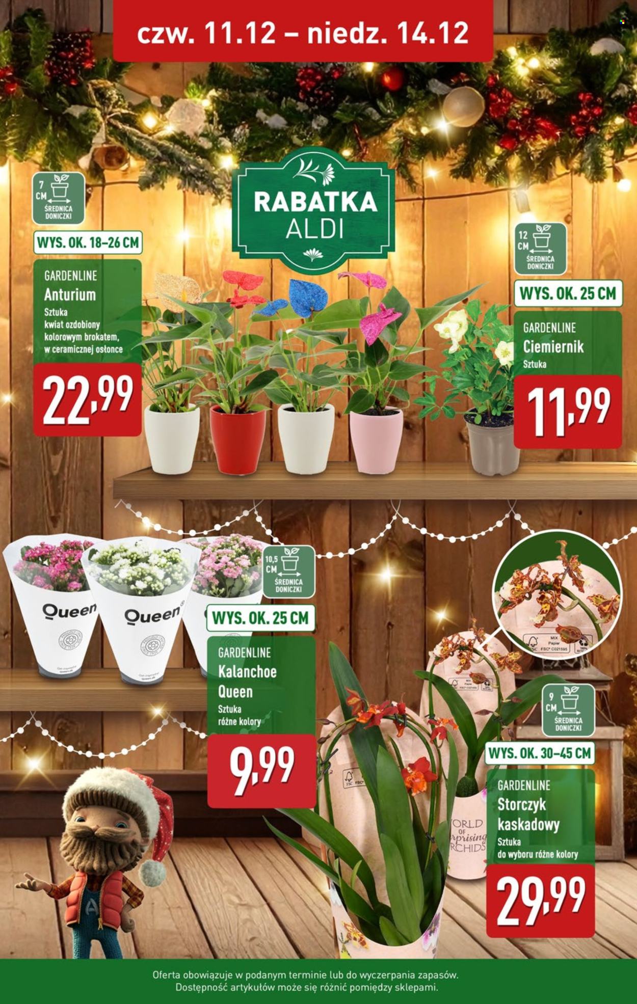 Gazetka ALDI - 8.12.2025 - 14.12.2025. Strona 39