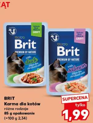 BRIT Karma dla kotów