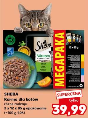 SHEBA Karma dla kotów